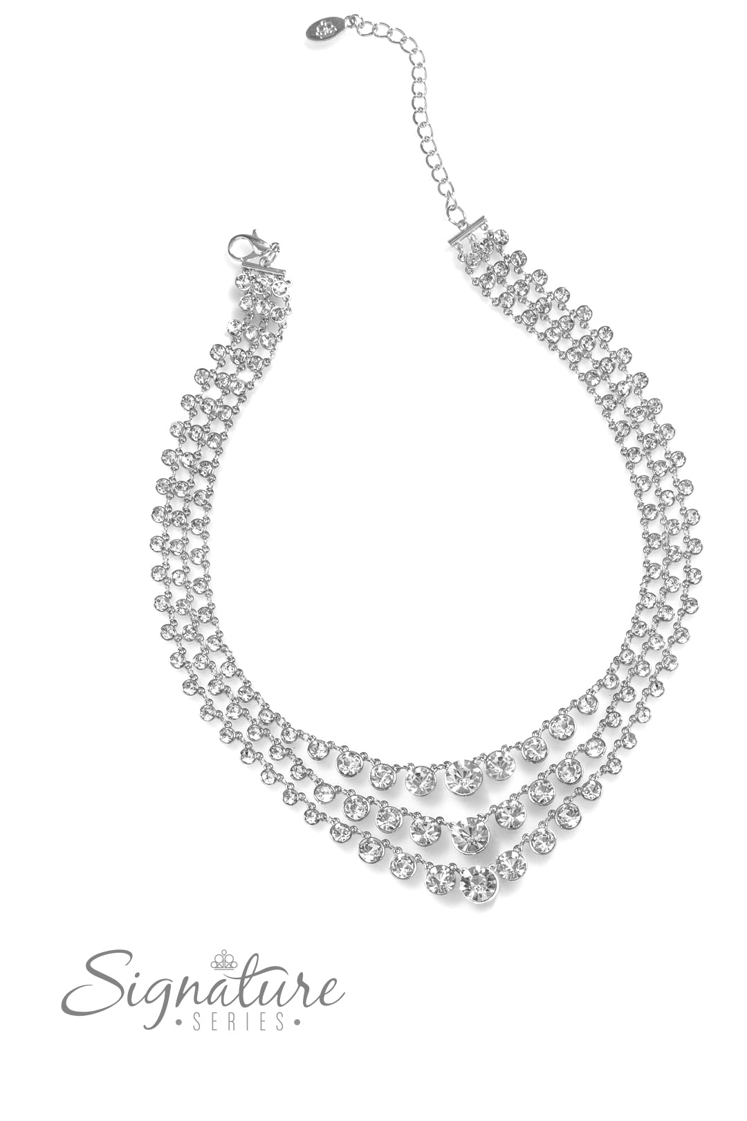 The Dana 2023 Zi Collection Signature Necklace